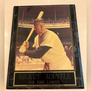 SOLD:Mickey MantleatBat 8x10Color PhotoSealedAcrylicFrame10.5x13GoldEngraved